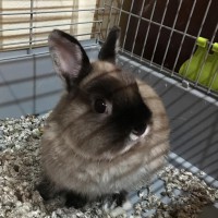 /album/algunos-de-nuestros-reproductores/ibu-jpg/